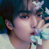 KIM TAEYOUNG
